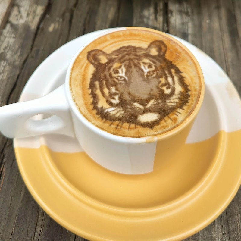 Neuer Trend Kommerzielle Gastr – Coffee Equipment And Supplies Bewertung und Preis